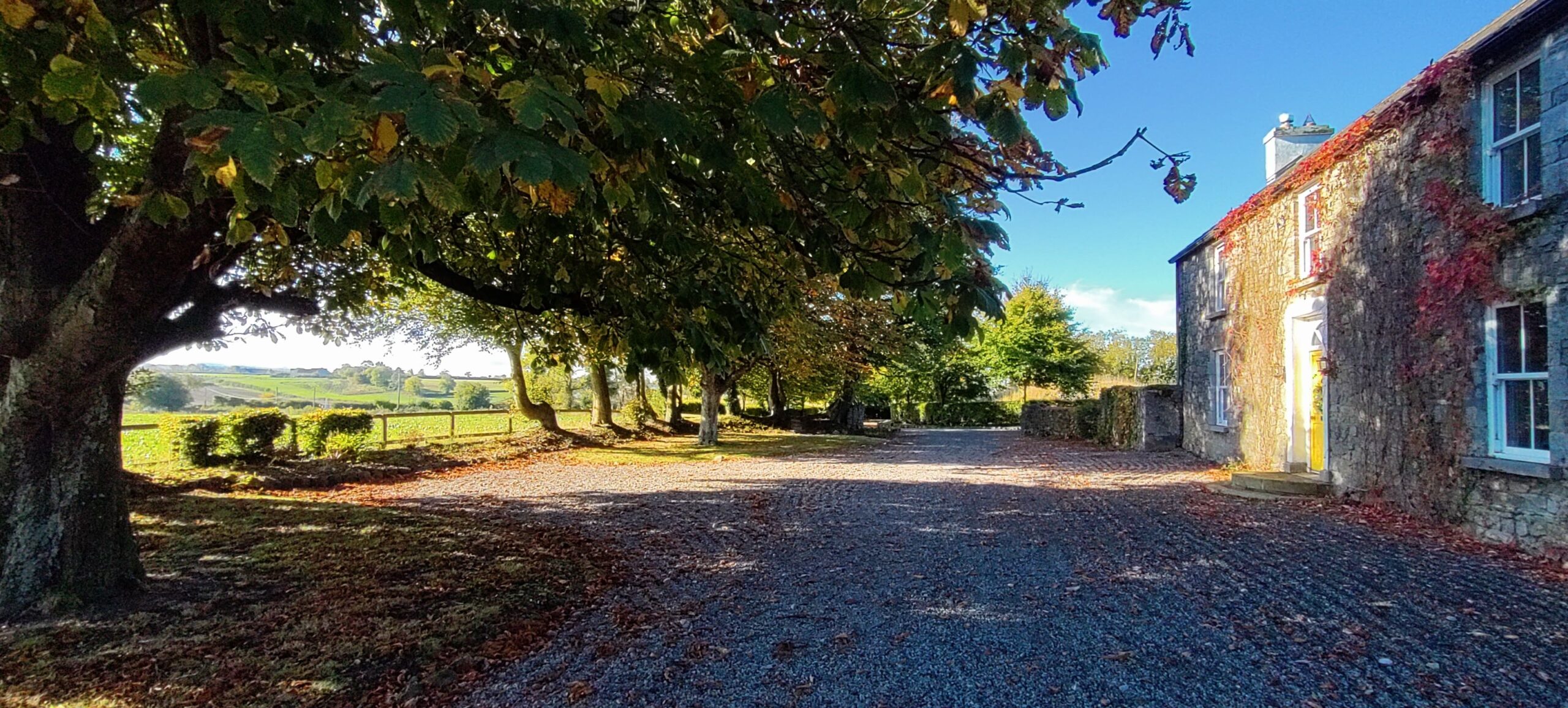 The grounds - reformer instructor training